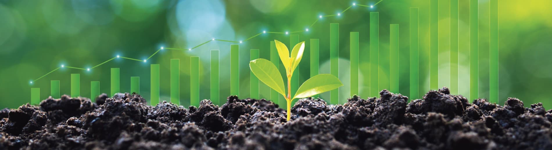 Sustainability